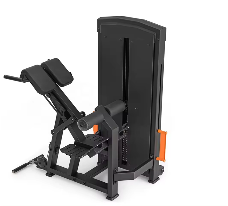 Seated Back Extension and Curl Machine suppliers
