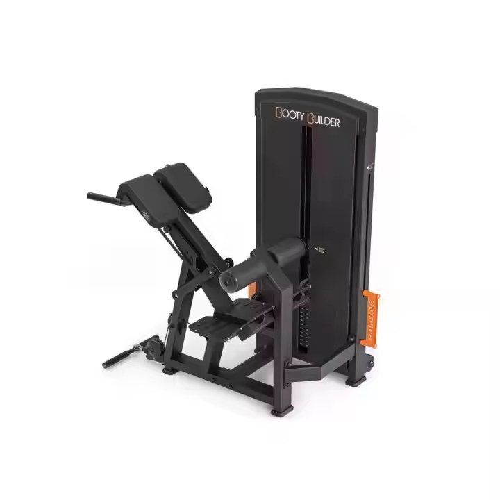 Seated Back Extension and Curl Machine high quality