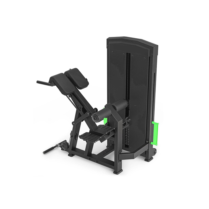 Seated Back Extension and Curl Machine factory