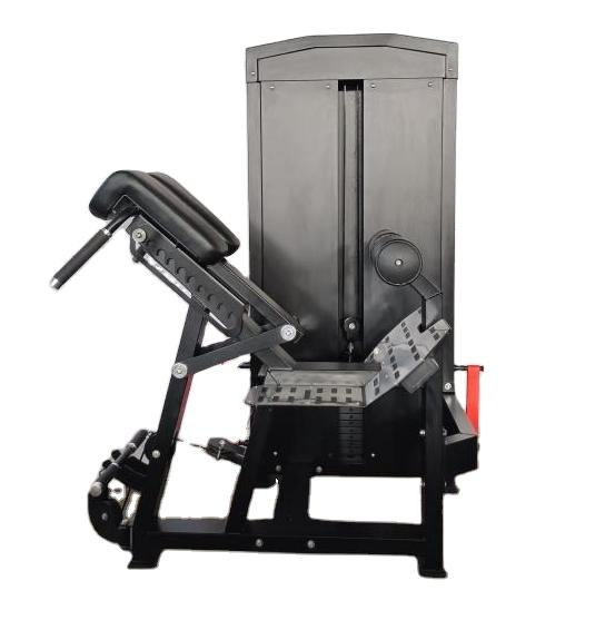 Seated Back Extension and Curl Machine price