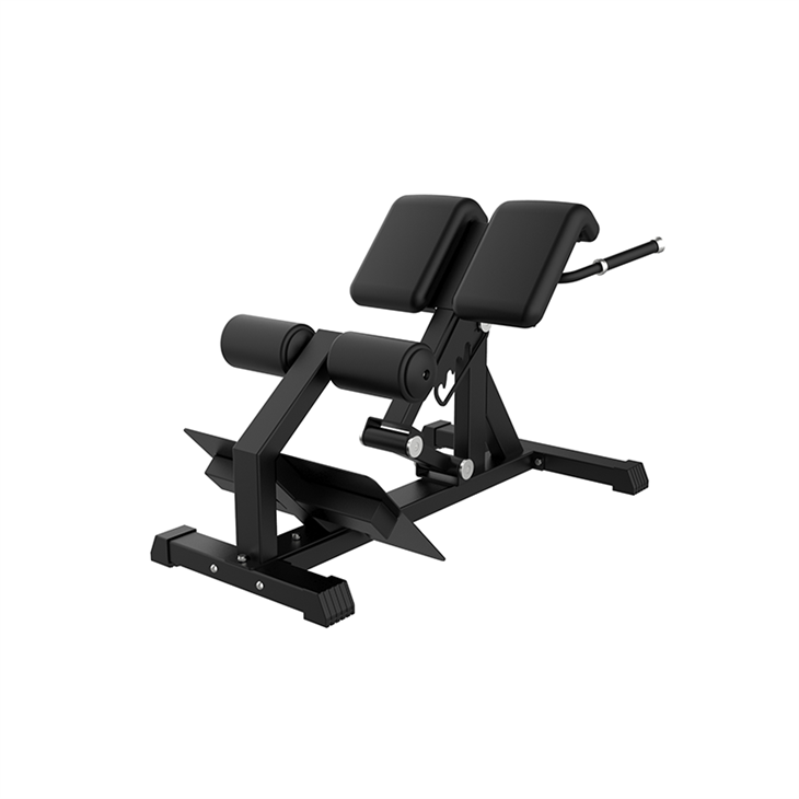 Roman Chair Back Extension Bench factory