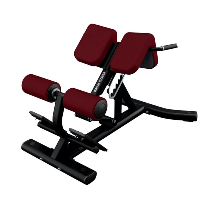 Roman Chair Back Extension Bench best